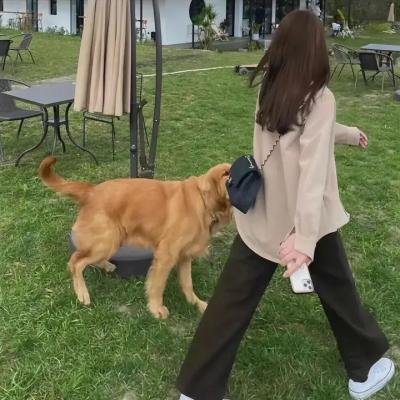 加利福尼亚的皇帝
